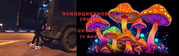 2c-b Армянск