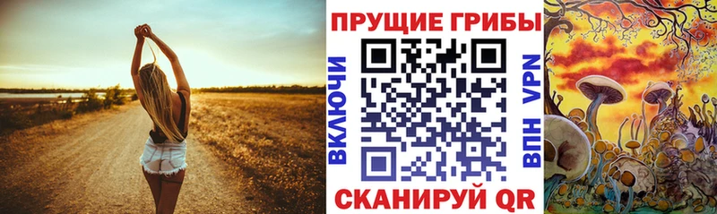 что такое наркотик  Циолковский  Псилоцибиновые грибы Psilocybe 